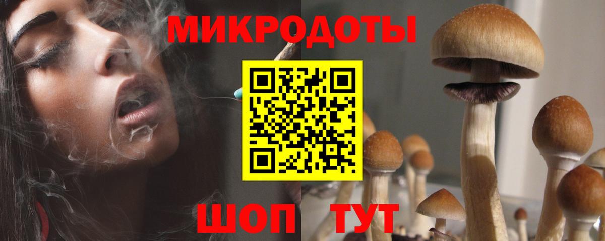 Топки  Галлюциногенные грибы Cubensis  Вход с VPN  Галлюциногенные грибы Psilocybe 